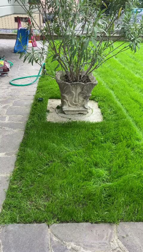 Gardenarts di Cristian Polidori — Foto 6