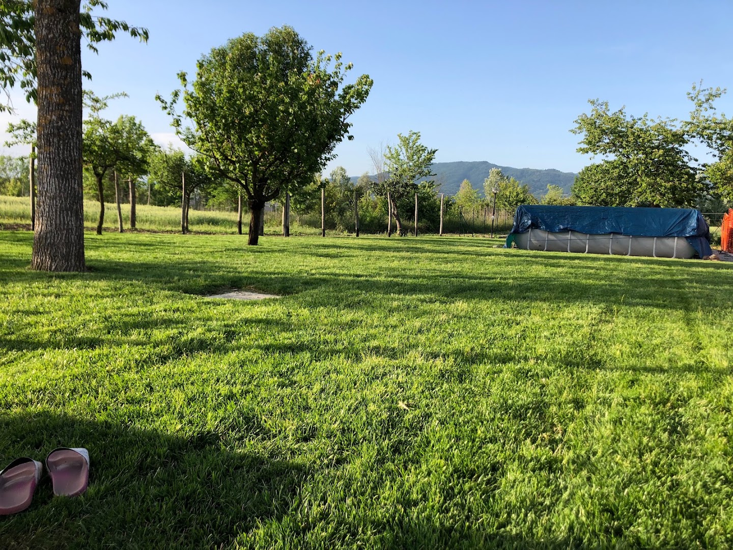 Gardenarts di Cristian Polidori — Foto 7
