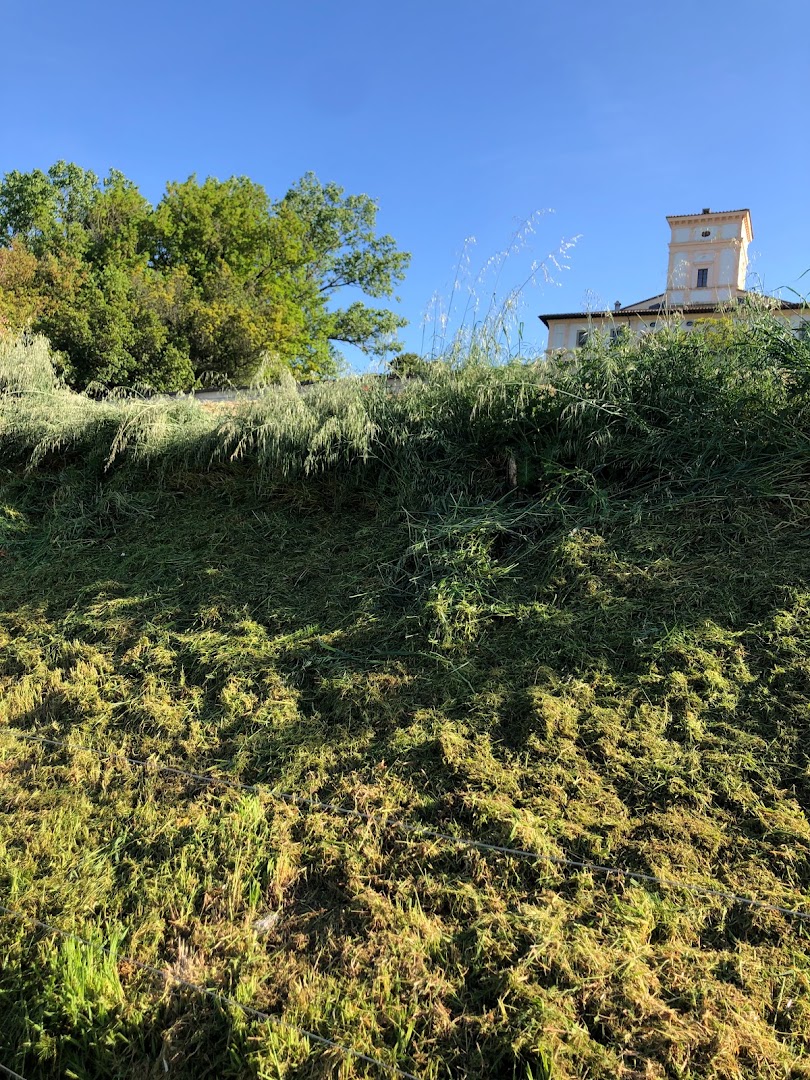 Gardenarts di Cristian Polidori — Foto 3