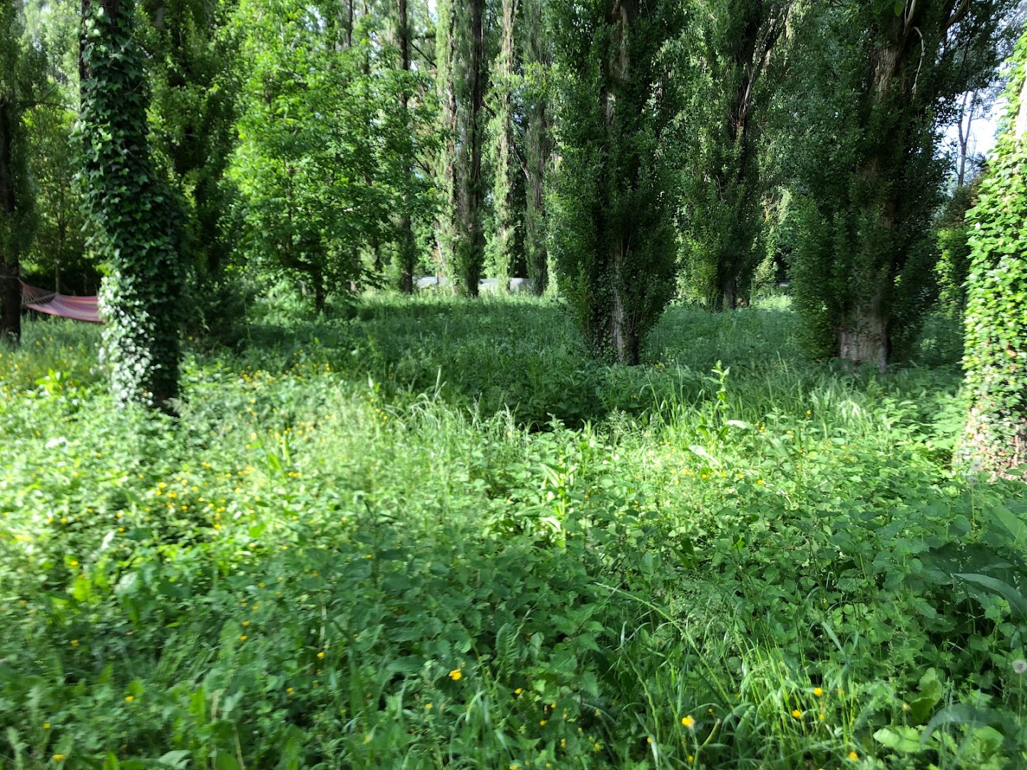 Gardenarts di Cristian Polidori — Foto 9