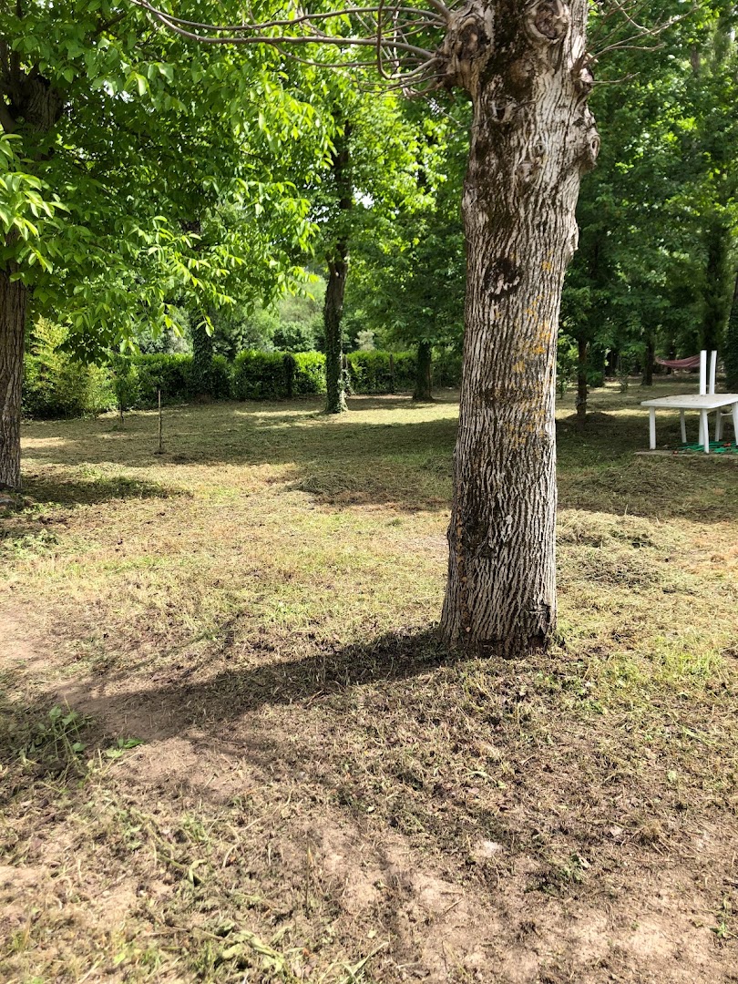 Gardenarts di Cristian Polidori — Foto 15