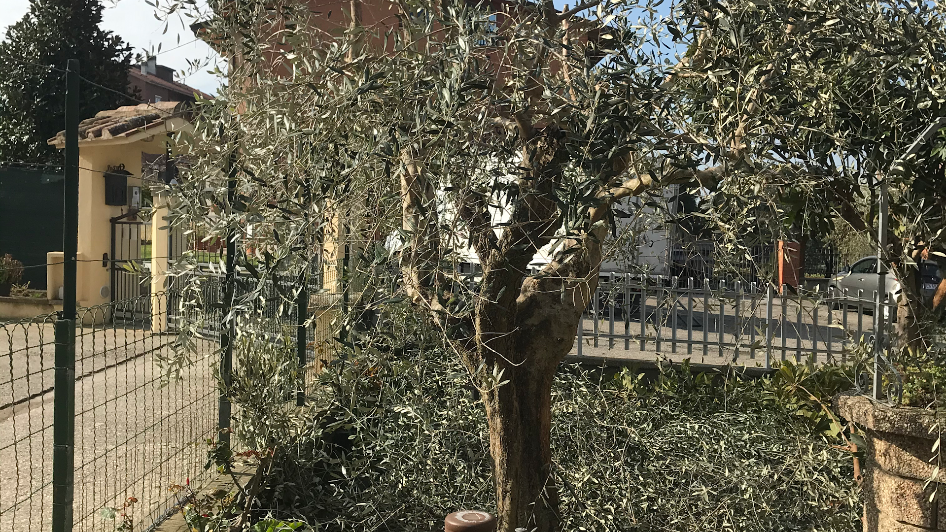 Gardenarts di Cristian Polidori — Foto 13