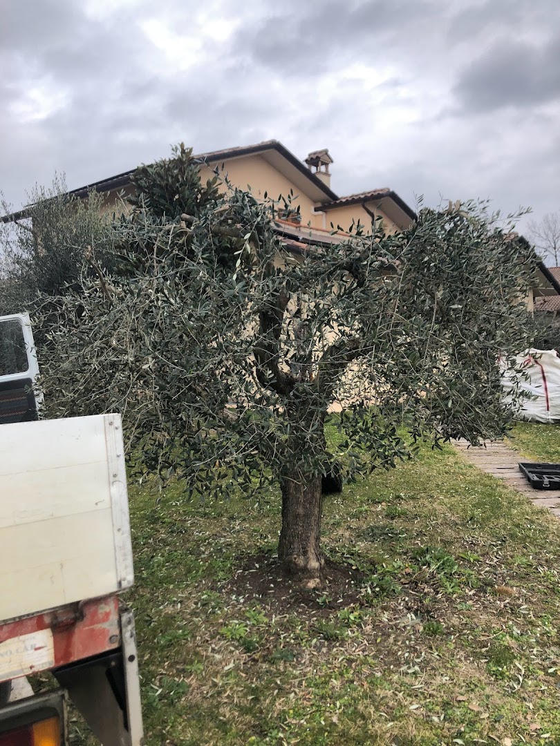 Gardenarts di Cristian Polidori — Foto 5