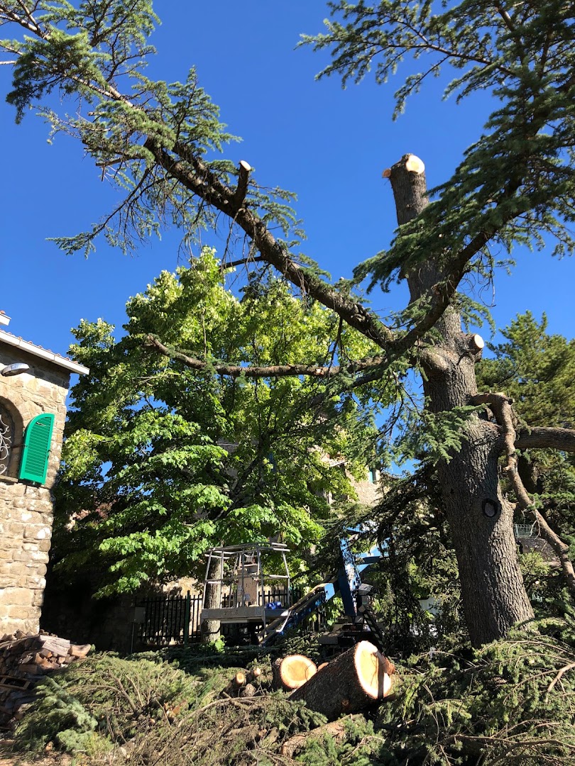 Gardenarts di Cristian Polidori — Foto 11