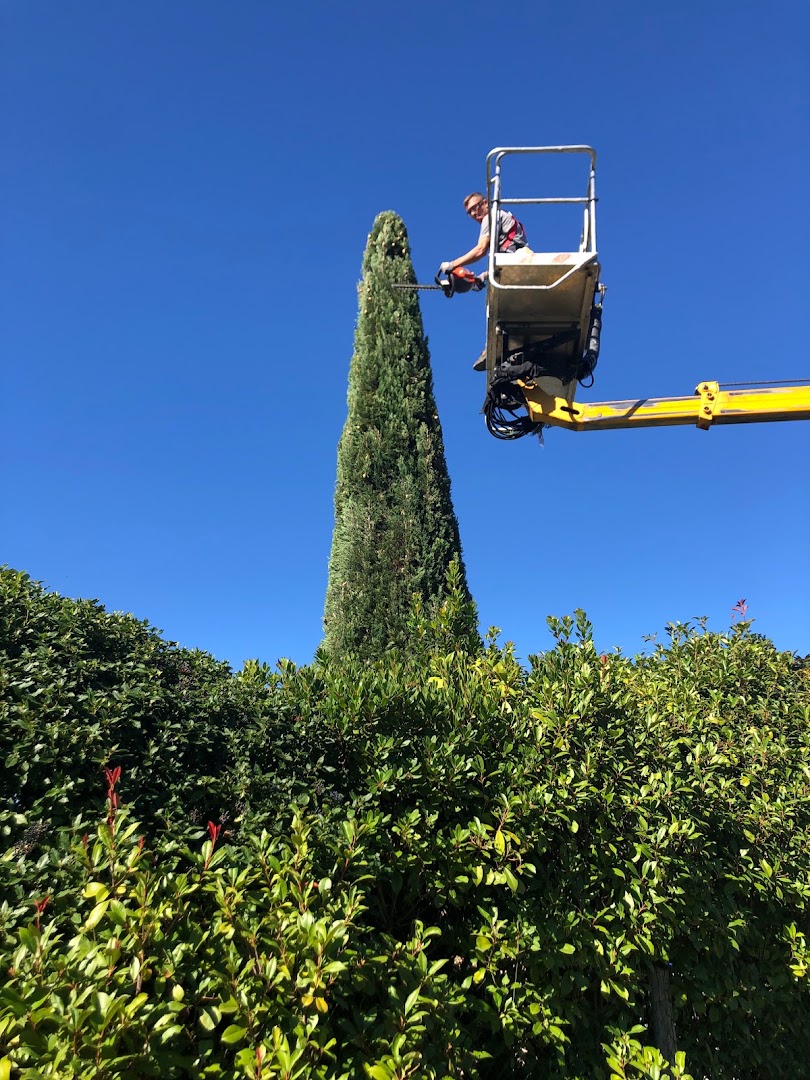 Gardenarts di Cristian Polidori — Foto 2